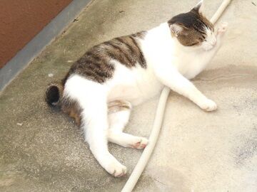 9月16日（16）仮