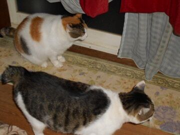 9月29日（20-1）仮