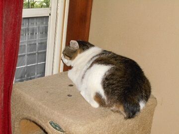 6月30日（15）仮