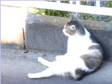 6月16日（34）仮