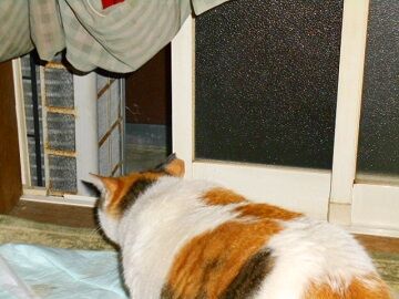 5月23日（49）仮