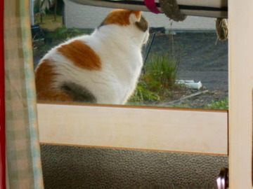 12月5日（10）仮