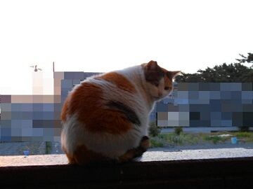 4月5日(6)仮