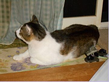 6月14日（70）仮