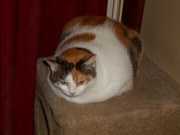 10月1日（7-3）仮