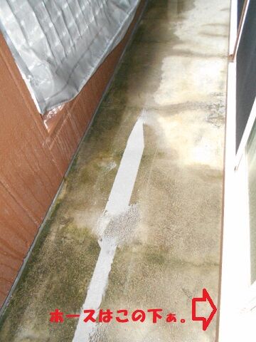 6月25日（8）使用