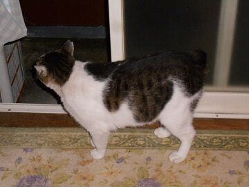 10月12日（5-4）仮