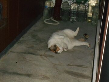 9月23日（20-4）仮