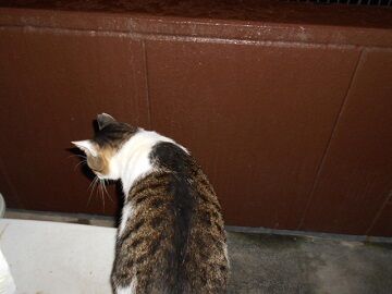 9月21日（3-7）仮