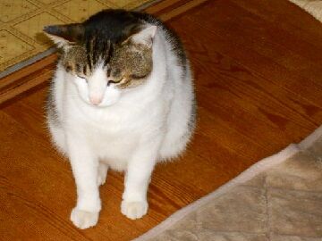 5月18日（76）仮