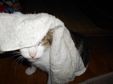 9月27日（18-22）仮