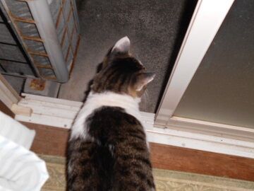 10月7日（23-14）仮