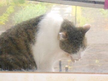 5月10日（39）仮