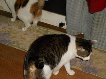 9月23日（20-2）仮