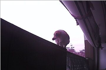 12月30日（22.4）仮