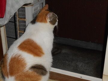 9月8日（5-7）仮