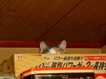 12月13日（21）仮