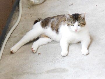 5月28日（27）仮