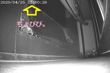 4月25日（45）仮