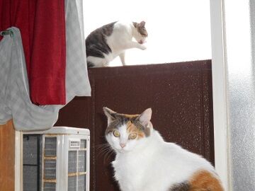 10月2日（15-16）仮