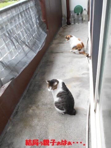 9月16日（10-13）仮