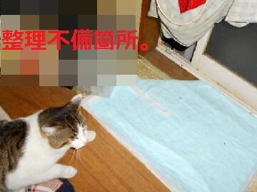 4月14日(47)仮