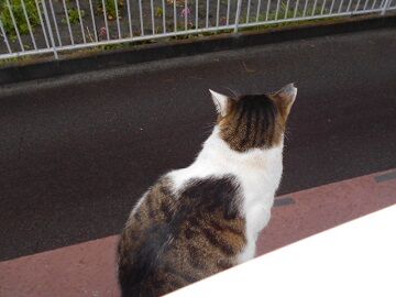 2月14日（23）仮