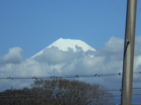 DSCN0650