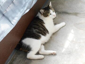 9月25日（9-2）仮