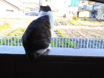 12月17日（14）仮