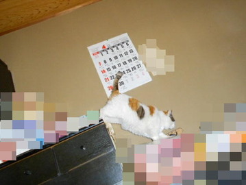 4月15日(29)仮
