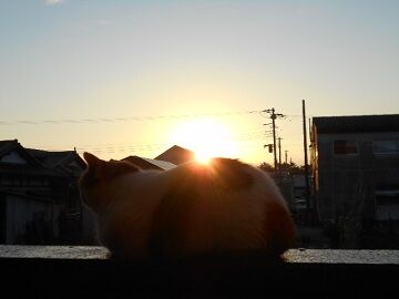 9月15日（19）仮