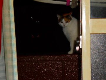 10月20日（10）仮