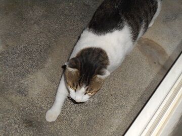 9月21日（5-4）仮