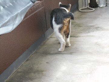 9月16日（9-6）仮