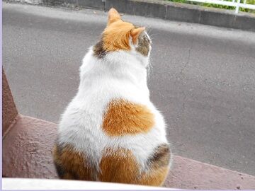 6月22日（14）仮