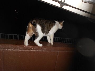 9月30日（23-1）仮