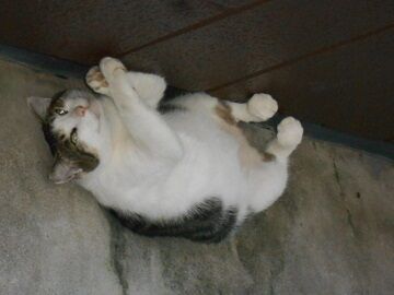 9月14日（16-1）仮