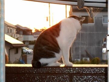 10月2日（21）仮