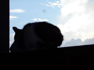 9月8日（6-4）仮