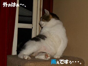 7月26日（69）仮