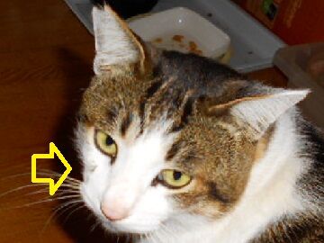 12月19日（2）仮 - コピー