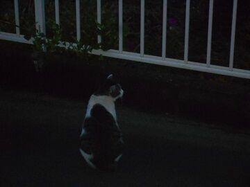 9月27日（5-10）仮