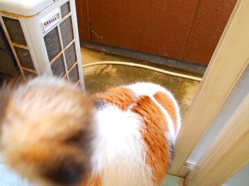 10月23日（36）仮