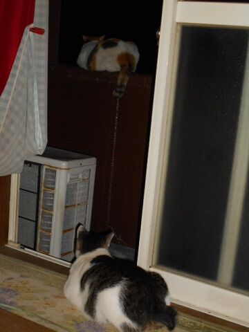 8月18日（26）仮