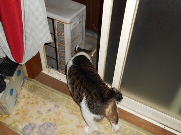 9月13日（18-2）仮