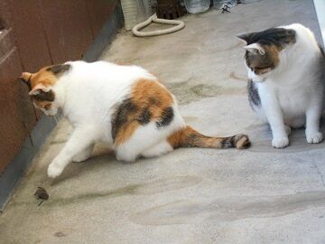 9月30日（6-7）仮