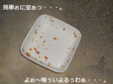 12月8日（48）仮