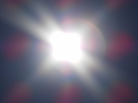 DSCN0169