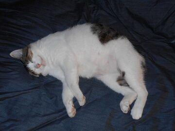 9月21日（16-3）仮